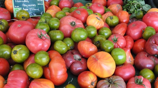 Marché Rayol
