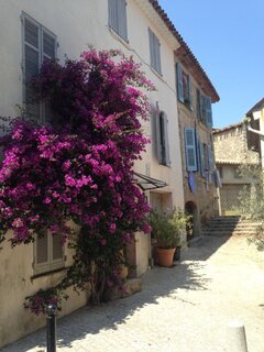 Village