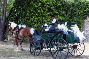 Attelage et traditions