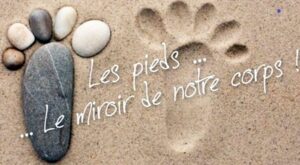Réflexologue plantaire